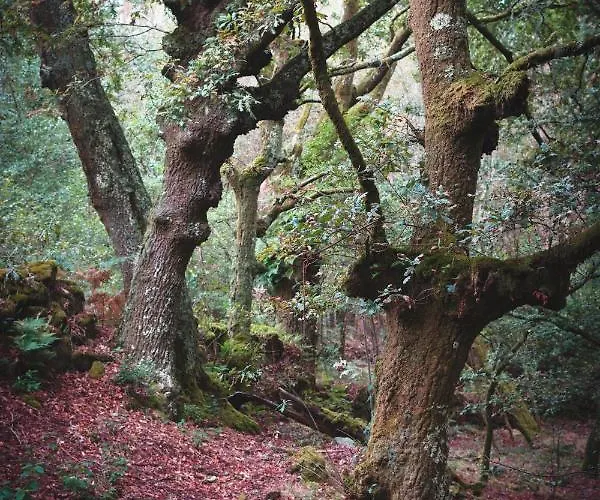 Veiga Marina Εξοχικό σπίτι