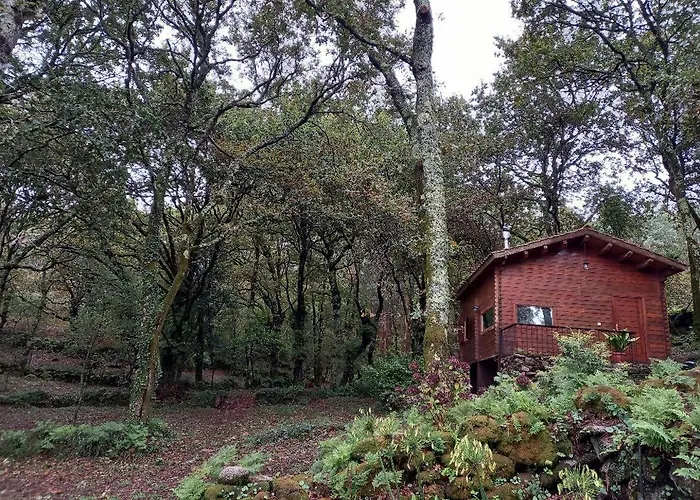 Veiga Marina Понтеведра